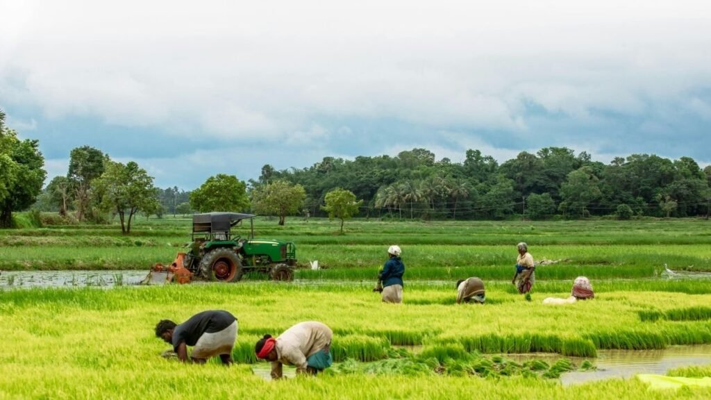 The Transformative Power of Farming in a Changing World
