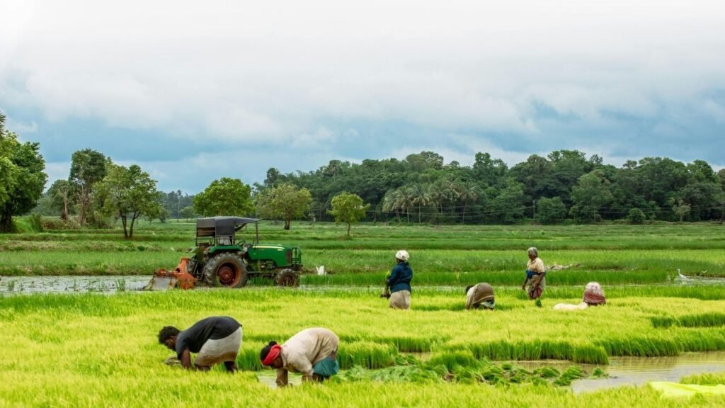 The Transformative Power of Farming in a Changing World